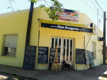 Don Gregorio - Frente